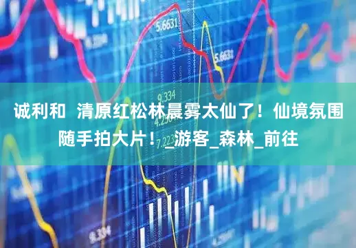 诚利和  清原红松林晨雾太仙了！仙境氛围随手拍大片！_游客_森林_前往
