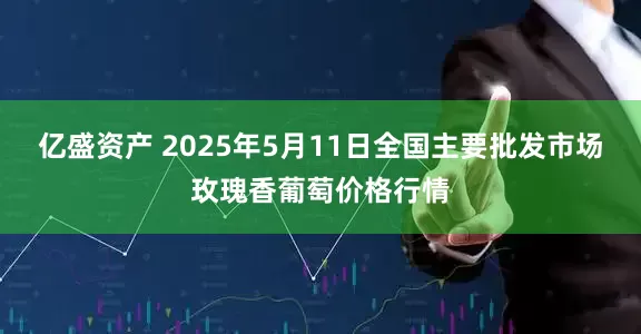 亿盛资产 2025年5月11日全国主要批发市场玫瑰香葡萄价格行情
