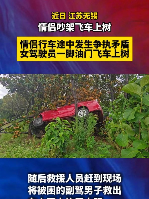 中金宸大 不可取！情侣买菜半路大吵一架，女子将车开上了树