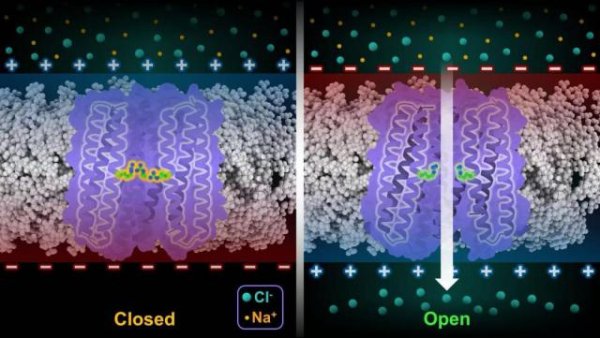 贵丰配资 两项“世界首次”！西湖大学再获重要突破