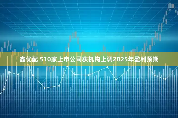鑫优配 510家上市公司获机构上调2025年盈利预期